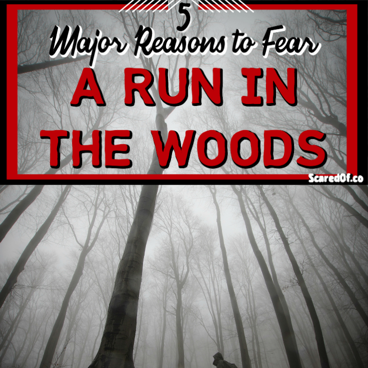 5 Major Reasons to Fear a Run in the Woods