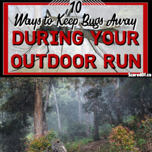 10 Ways to Keep Bugs Away During an Outdoor Run