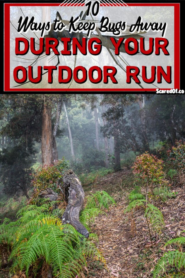 10 Ways to Keep Bugs Away During an Outdoor Run Scared Of