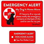 My Dog is Home Alone Emergency Alert