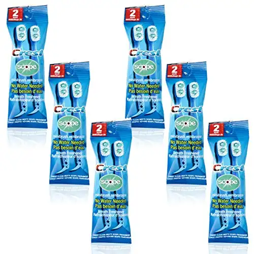 Mini Disposable Toothbrushes