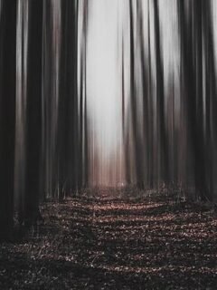 10 Everyday Phobias That Affect Millions According To Research