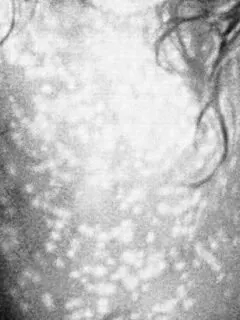 Top 7 Global Pandemics Ranked by Death Toll Data Shows