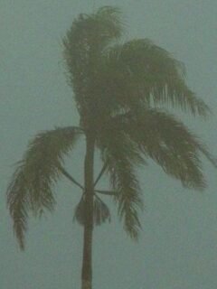 Caribbean Tropical System Could Strengthen Into A Named Storm Next Week, AccuWeather Reports