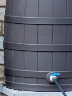 Why More Americans Are Installing Rain Barrels - And What Fears Are Driving It