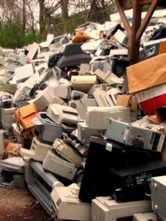 10 Things You Should Never Bury in Your Yard - Even If It Seems Harmless