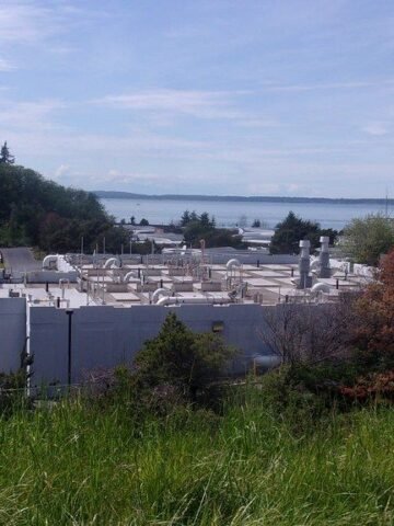 8 Unexpected Places in America That Ease Climate Anxiety - As Nature Grows More Unpredictable Elsewhere