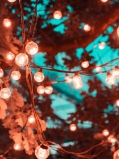11 Tacky Garden Decor Trends That Quietly Annoy Your Neighbors